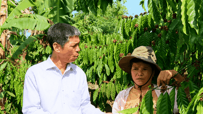 Trao “cần câu”, nâng hiệu quả giảm nghèo
