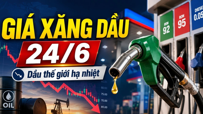 Fuel prices today, June 24th: Domestic prices stable, global prices cooling down.