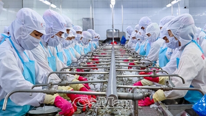 Terobosan dalam lini produk utama