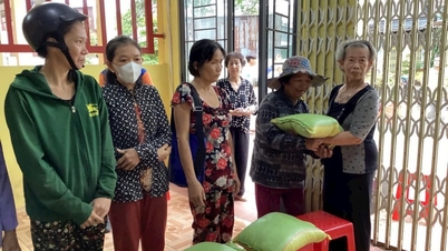 Once barren land, it is now a durian orchard generating over half a billion VND per year in Dong Thap province.