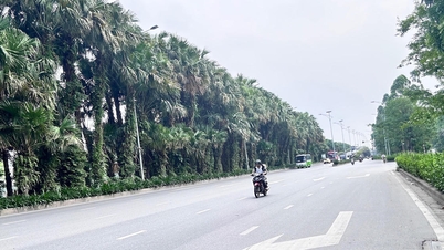 Weather forecast for June 24th: Northern mountainous areas will experience hot and sunny weather during the day, with thunderstorms in the evening.