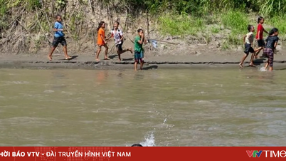 विश्व के आधे बच्चे कम से कम तीन जलवायु संबंधी खतरों का सामना करते हैं।
