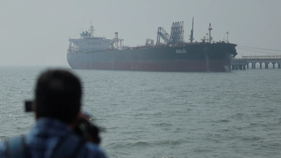 The IMO has launched an operation to evacuate 11,000 sailors from the Strait of Hormuz.