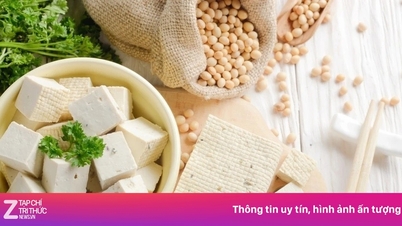 از گوشت خسته شده‌اید؟ در اینجا چند جایگزین غنی از آهن و پروتئین را به شما معرفی می‌کنیم.