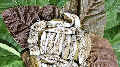 کیک تخم مورچه غیرمعمول