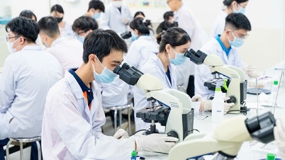 Hoe kan Vietnam particuliere universiteiten van wereldklasse opbouwen?