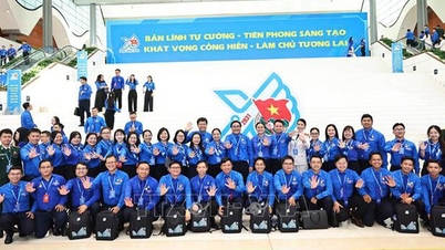 13e Congrès national de l'Union de la jeunesse de Hô Chi Minh-Ville : L'aspiration à la contribution de la jeunesse de Hô Chi Minh-Ville.
