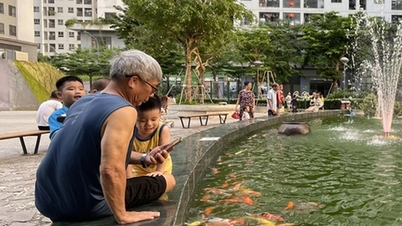 Cum se pregătesc vietnamezii de vârstă mijlocie pentru bătrânețe?