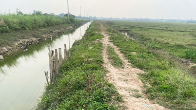 Bac Ninh: Over 38 milliarder VND brugt på renovering og opgradering af Bac Trinh Xa-kanalen.
