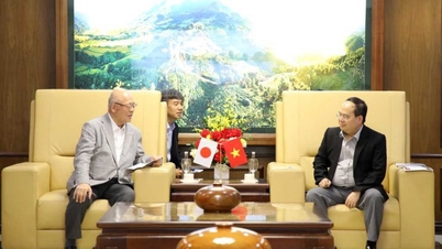 Het bevorderen van samenwerkingsrelaties tussen Quang Ninh en Hokkaido.