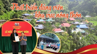 การพัฒนาสมาชิกพรรคในพื้นที่ชนบท