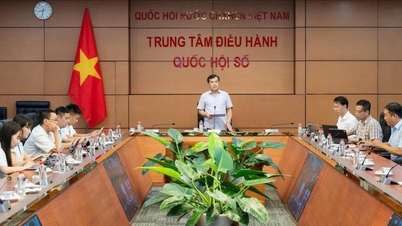 Tập huấn, triển khai thí điểm các nền tảng số dùng chung của Quốc hội đến cơ quan dân cử địa phương