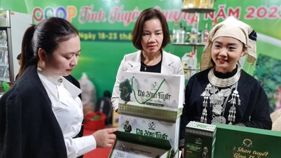 การนำเกณฑ์ OCOP ใหม่มาใช้ให้ครอบคลุมทุกด้าน