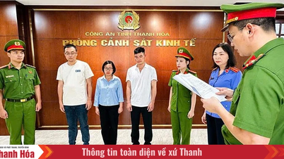 តស៊ូយ៉ាងស្វិតស្វាញប្រឆាំងនឹងការរំលោភបំពានបរិស្ថាន។