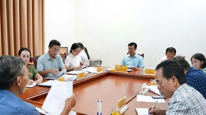 Commune de Hoai Duc : Un gouvernement local à deux niveaux crée un nouvel élan pour le développement.