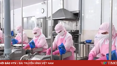 Exporturile de fructe de mare ale Vietnamului accelerează, vizând pragul de 12 miliarde de dolari.
