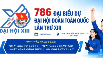 786 Delegierte nahmen am 13. Nationalkongress der Ho-Chi-Minh-Kommunistischen Jugendunion teil.