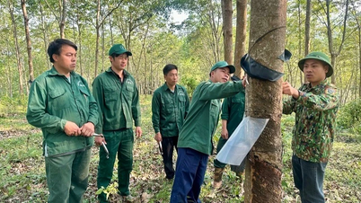 รักษาตำแหน่งผู้นำด้านการผลิตและธุรกิจในเมืองเดียนเบียนเอาไว้