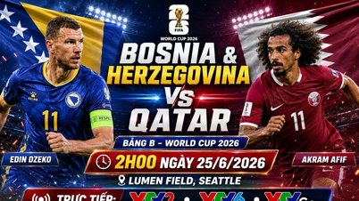 Bosnia & Herzegovina vs Qatar Prediction, 2:00 AM, June 25th: Last chance for both teams.