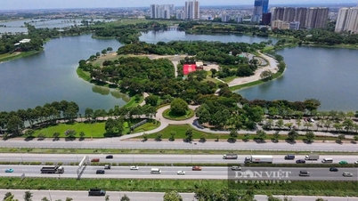 Hà Nội sắp đấu giá 100 lô đất làm nhà ở thấp tầng, giá khởi điểm gần 917 tỷ đồng