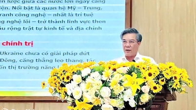 동푸, 탄로이, 동땀 지역의 행정관 및 당원 여러분께 드리는 뉴스 업데이트입니다.