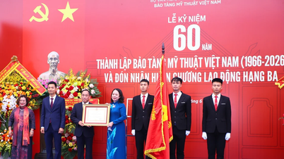 Museum Seni Rupa Vietnam menerima Medali Buruh Kelas Tiga.