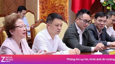 BRG는 훙옌에 1,000헥타르 규모의 개발 프로젝트를 추진하고자 합니다.