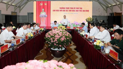 Định hình tầm vóc Khu du lịch “Tam Đảo xanh” và bền vững: Không thể phát triển bằng mọi giá
