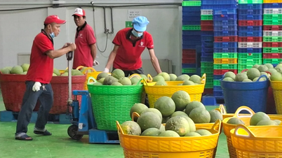 Promovarea cooperării agricole Vietnam-China de-a lungul lanțurilor de aprovizionare sustenabile.