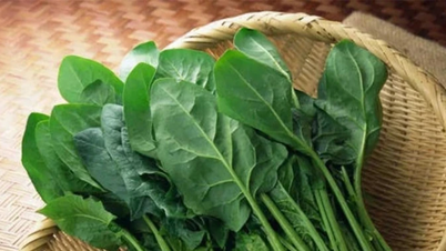 Harga pasar per tanggal 24 Juni 2026