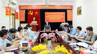 Tuyen Quang Eyaleti Ulusal Meclisi Daimi Delegasyonu Başkan Yardımcısı Bayan Ly Thi Lan, bir araştırma yaptı ve Tuyen Quang Ormancılık Şirketi ile işbirliği içinde çalıştı.