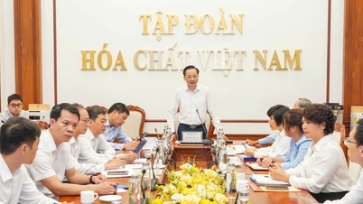 Vinachem has many advantages in participating in the semiconductor and rare earth industry value chain.