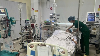 20 ημέρες αγώνα για να σωθεί η ζωή μιας 28χρονης γυναίκας που έπασχε από κεραυνοβόλο μυοκαρδίτιδα και πολλαπλή οργανική ανεπάρκεια.
