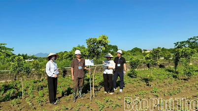 Inventario obligatorio para el proyecto del área urbana de Yen Lac - Ciudad Dragón.