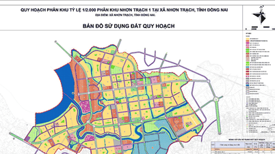 Plan zagospodarowania przestrzennego Nhon Trach 1 w mieście Dong Nai: skala 1660 hektarów na 220 000 mieszkańców.