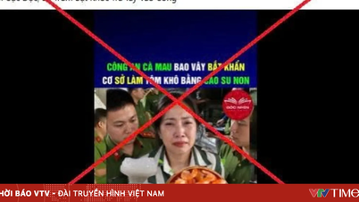 La provincia de Ca Mau ha emitido directivas urgentes para que se tomen medidas estrictas contra las noticias falsas que afirman que "los camarones secos están hechos de goma".