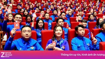 Jawatankuasa Eksekutif Pusat ke-13 Kesatuan Belia Vietnam terdiri daripada 123 ahli.