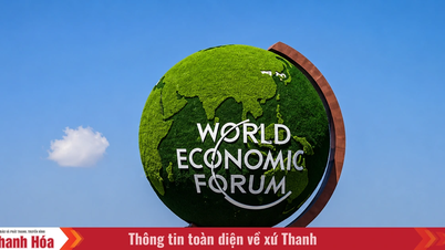 Diễn đàn Davos Mùa hè 2026 thúc đẩy đổi mới sáng tạo