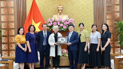 Tăng cường hợp tác với UNHCR trong giải quyết các vấn đề quốc tịch, hộ tịch cho nhóm yếu thế