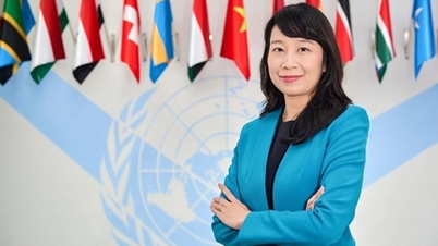 La giudice del Tribunale internazionale per il diritto del mare, la professoressa associata Dott.ssa Nguyen Thi Lan Anh, ha dichiarato: "Mi impegno a svolgere le mie responsabilità con indipendenza, obiettività e rispetto per la giustizia".