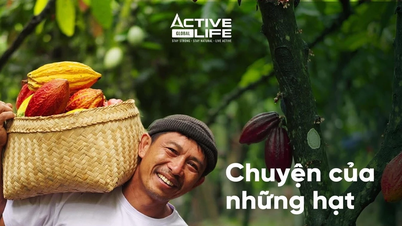 Active Life Global menciptakan gaya hidup sehat dari produk pertanian Vietnam berkualitas tinggi.