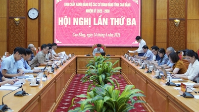 Hội nghị lần thứ ba Ban Chấp hành Đảng bộ các cơ quan Đảng tỉnh, nhiệm kỳ 2025 - 2030 - Báo Cao Bằng điện tử