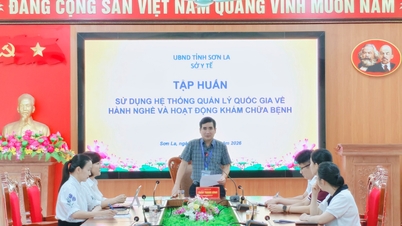 HỘI NGHỊ TẬP HUẤN TRỰC TUYẾN SỬ DỤNG HỆ THỐNG QUẢN LÝ QUỐC GIA VỀ HÀNH NGHỀ KHÁM CHỮA BỆNH