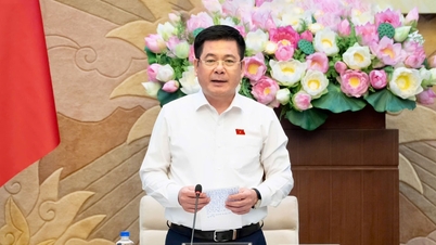 Tập trung rà soát, phát hiện những “lỗ hổng”, bất cập của luật hiện hành