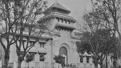 Lịch sử hình thành và phát triển