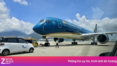 Máy bay Vietnam Airlines hạ cánh khẩn cấp tại Hong Kong