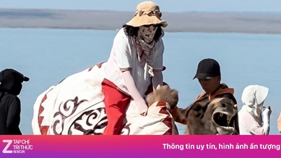 Kamele, die unter Schmerzen und Erschöpfung vom Tragen von Passagieren schreien, lösen in China Empörung aus.