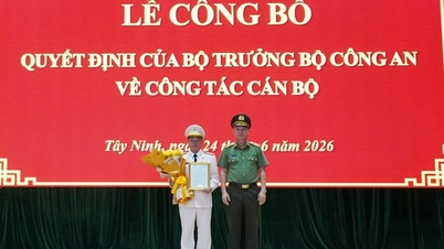Kolonel Pham Thanh Tung memegang jawatan Timbalan Pengarah Polis Wilayah Tay Ninh.