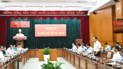 La ville d'Hô-Chi-Minh-Ville privilégie le développement du logement social et du logement locatif.