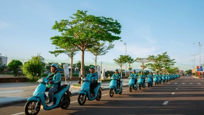 សមាគម​បៃតង (Green SM) មាន​វត្តមាន​នៅ​ក្នុង​ខេត្ត និង​ក្រុង​ចំនួន 19 ទូទាំង​ប្រទេស។